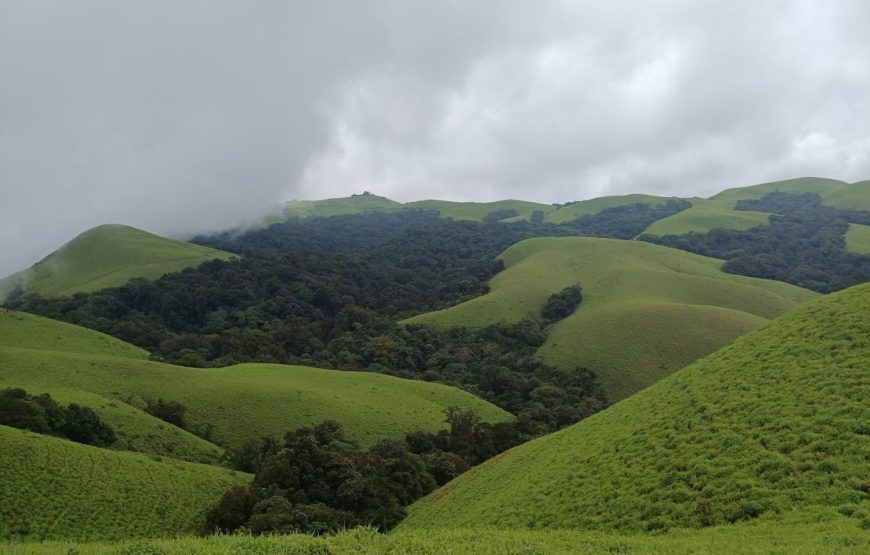 Kyatanamakki Camp – Karnataka