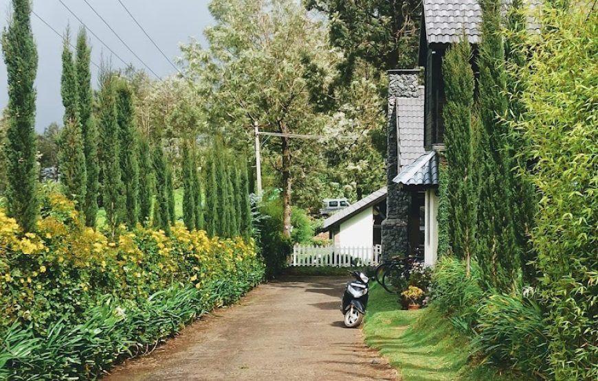 LOGAN CAMP – Ooty, Tamil Nadu