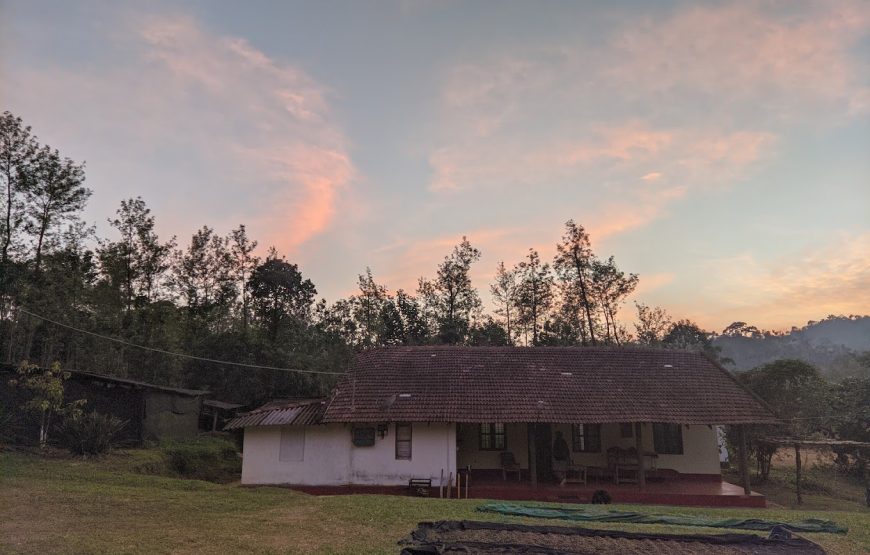 Civet Creek Camp – Karnataka