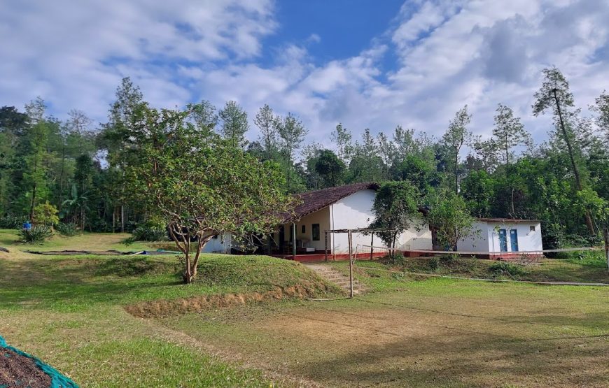 Civet Creek Camp – Karnataka