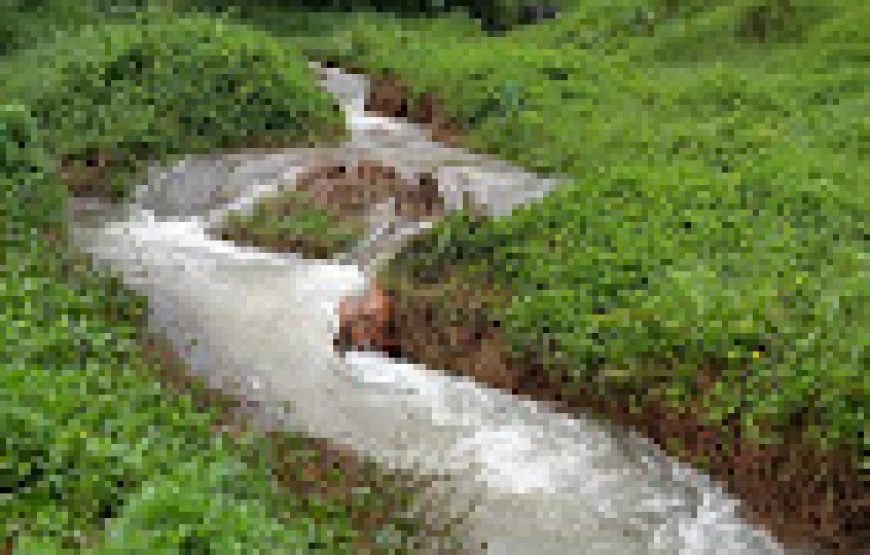 Coorg Nature camping – Madikeri, Karnataka
