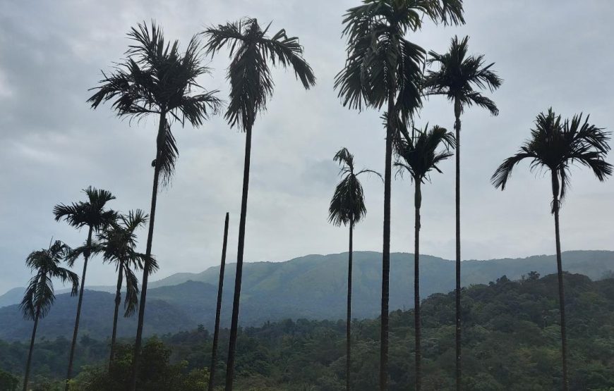 Coorg Nature camping – Madikeri, Karnataka