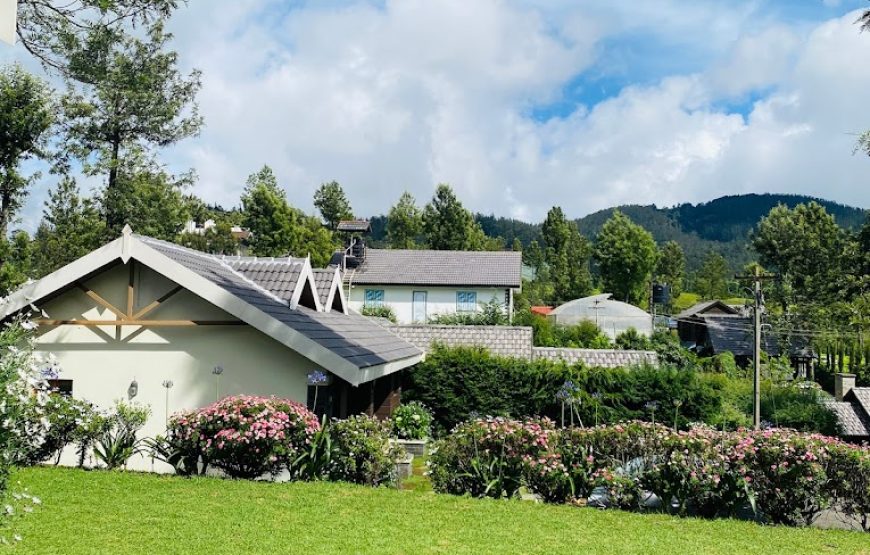 LOGAN CAMP – Ooty, Tamil Nadu