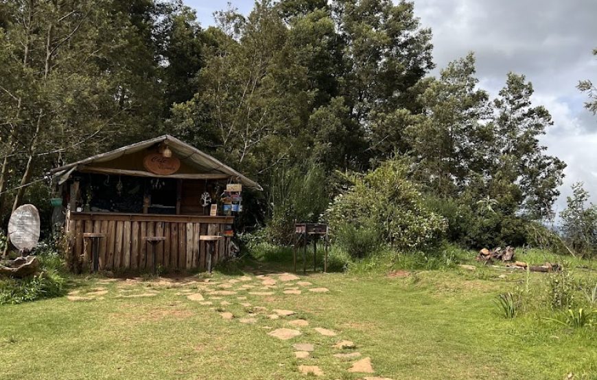 Wildvibes – Ooty, Tamil Nadu