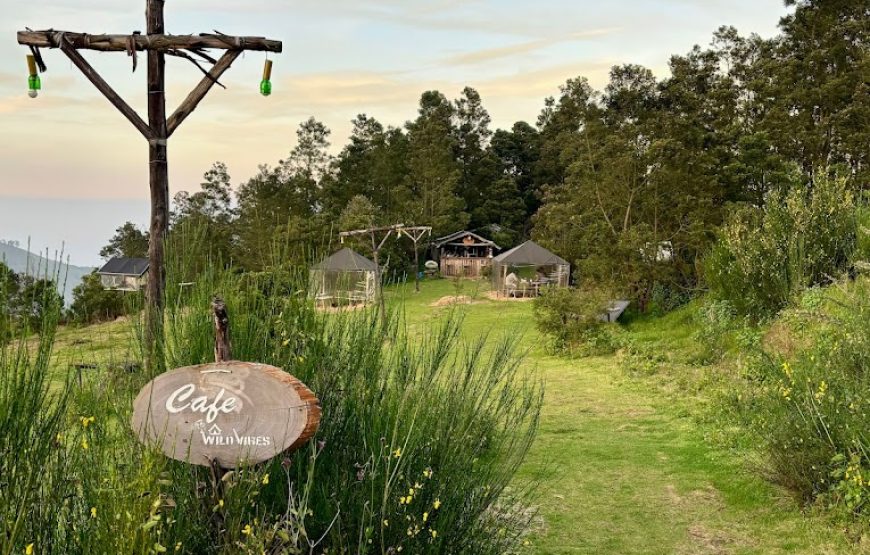 Wildvibes – Ooty, Tamil Nadu