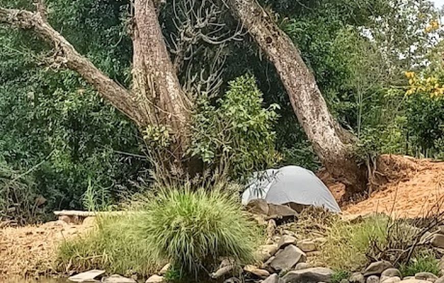 River Rock Camping – Madikeri, Karnataka