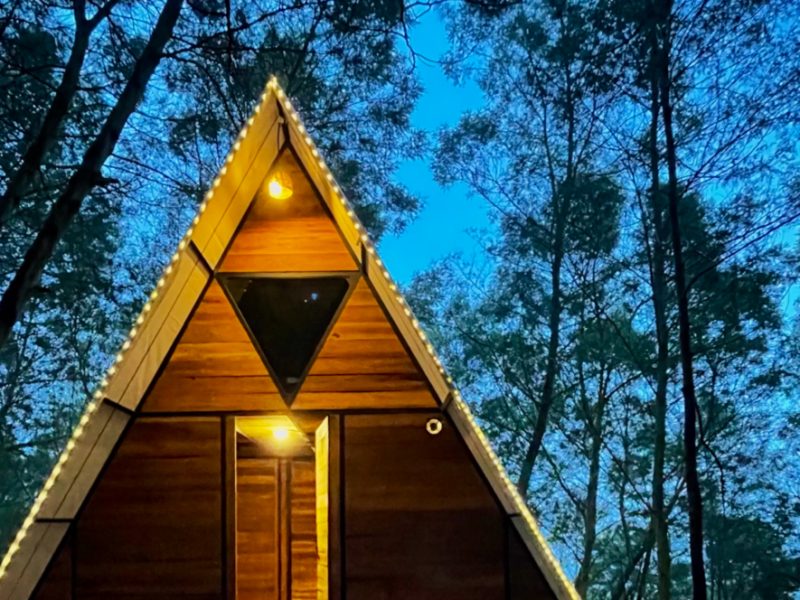 Wildvibes – Ooty, Tamil Nadu
