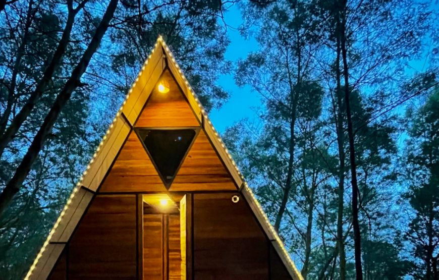 Wildvibes – Ooty, Tamil Nadu