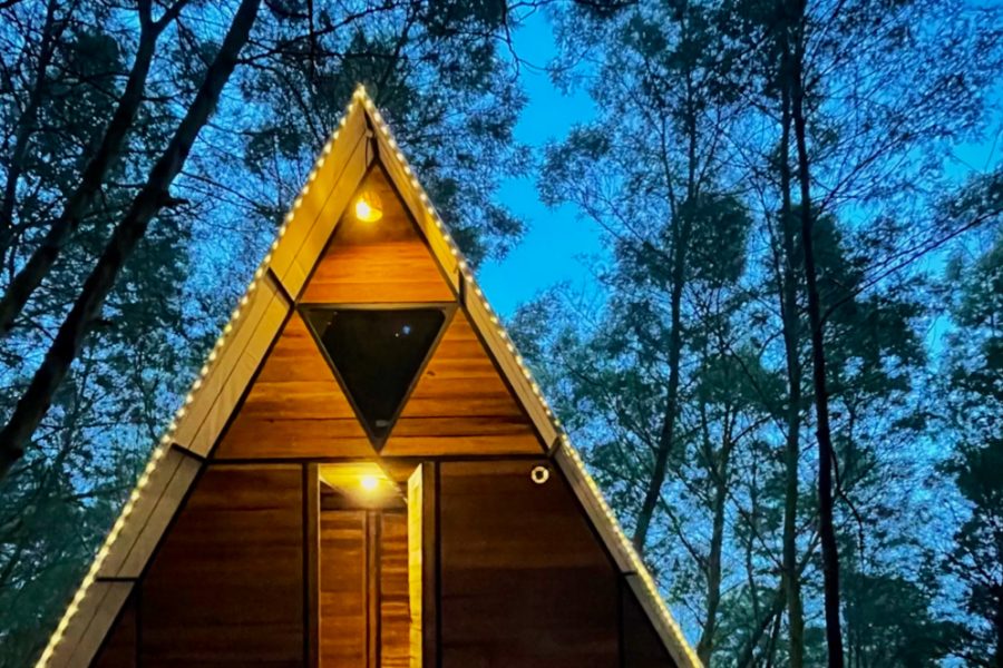 Wildvibes – Ooty, Tamil Nadu
