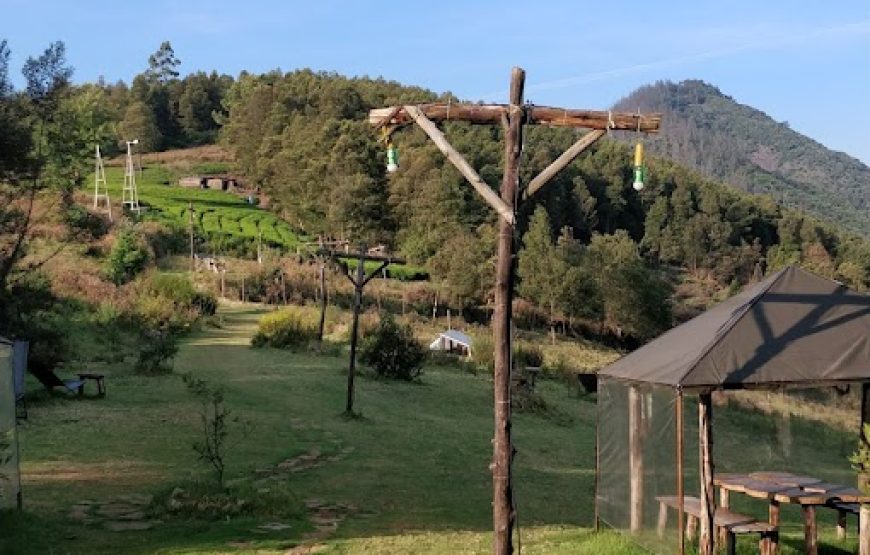 Wildvibes – Ooty, Tamil Nadu