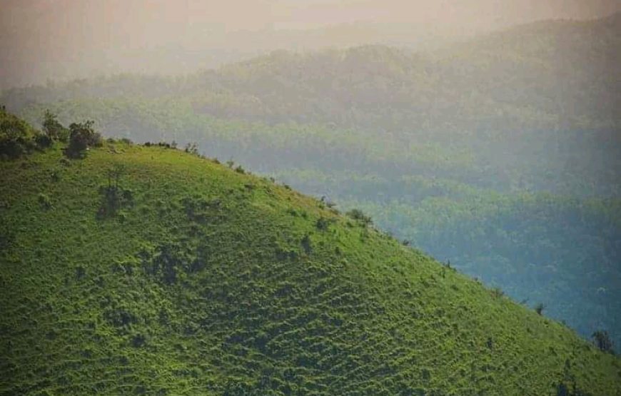 Kyatanamakki Camp – Karnataka