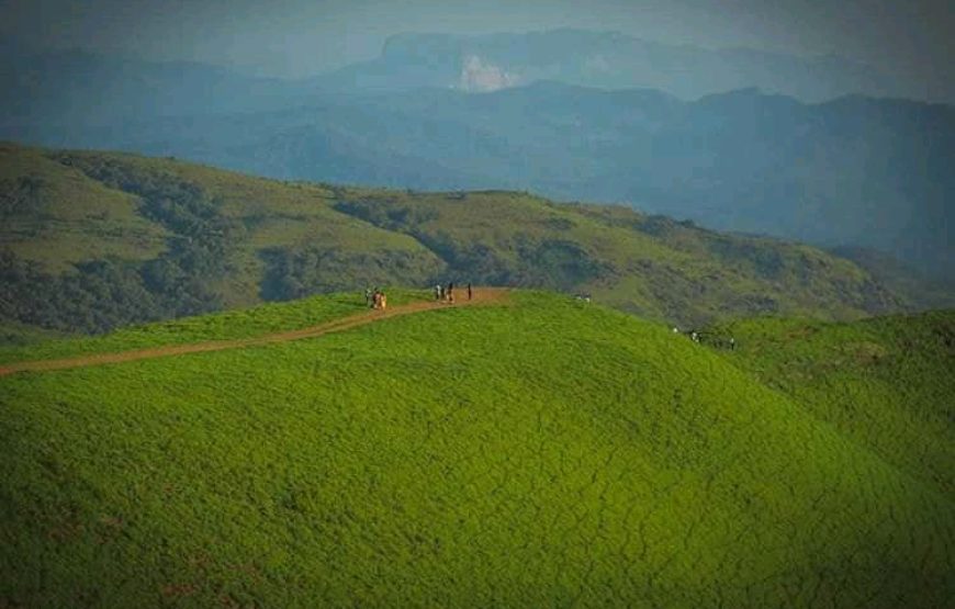 Kyatanamakki Camp – Karnataka