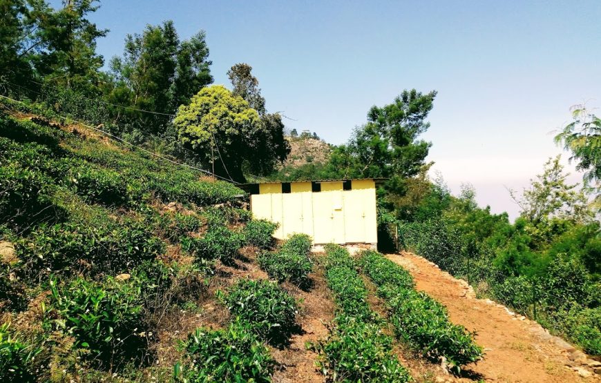 Alpas Camps and Resorts