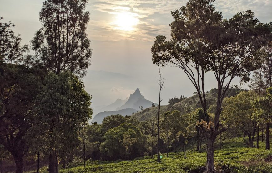 Alpas Camps and Resorts