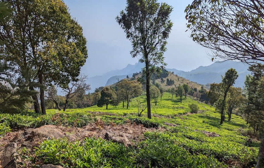 Alpas Camps and Resorts