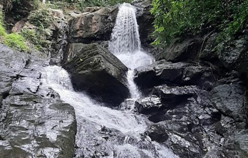 Camp @ Bettathur – Karnataka