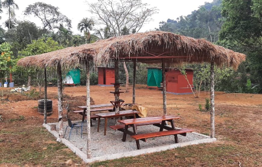 Camp @ Bettathur – Karnataka