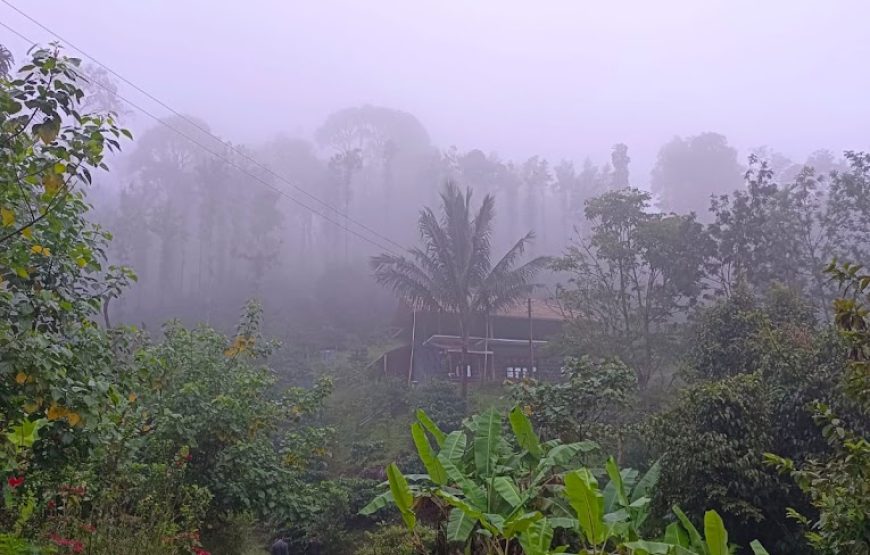 Camp @ Bettathur – Karnataka