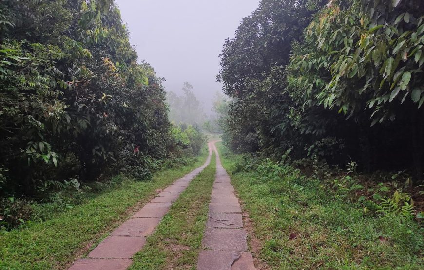 Bhagavathi Nature Camp – Karnataka