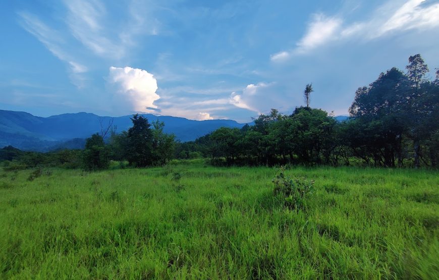 Bhagavathi Nature Camp – Karnataka