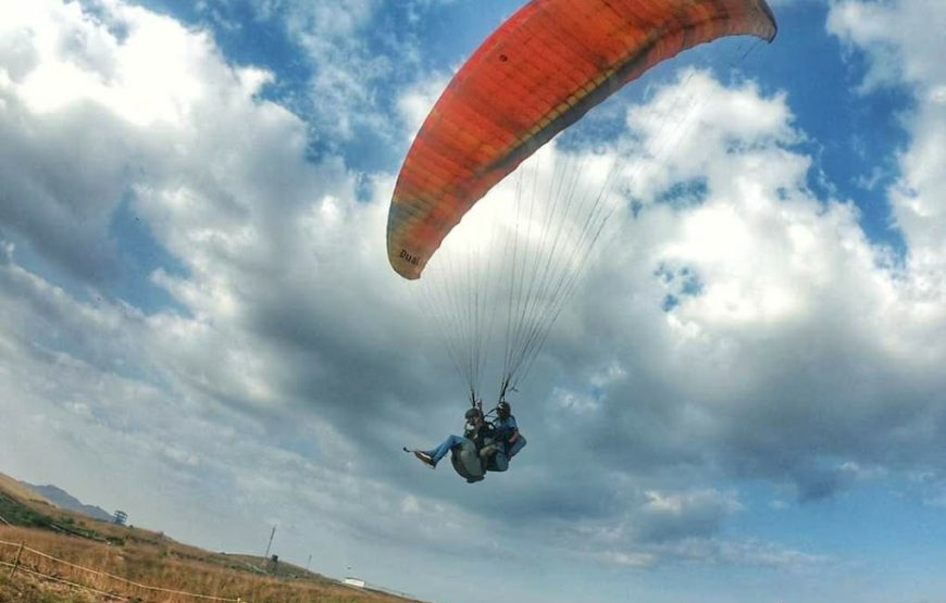 Camp & Fly