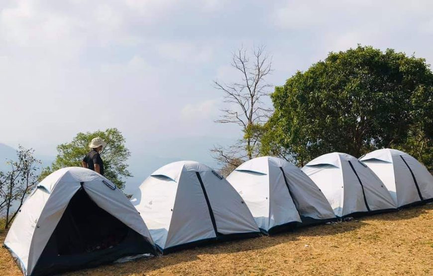Camp & Fly