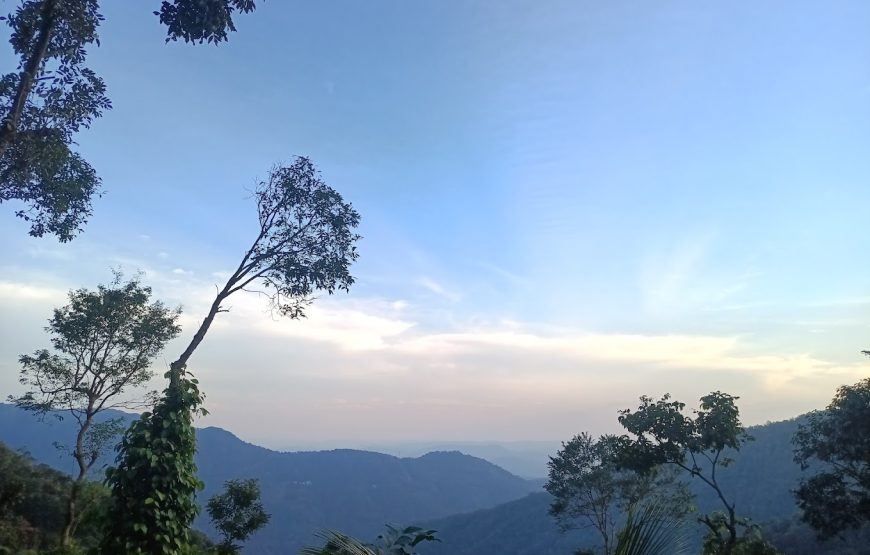 Camp Kuttikkanam – Kerala