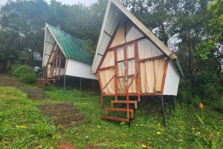 Camp Lights – Kerala