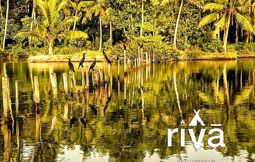 Camp Riva – Kerala