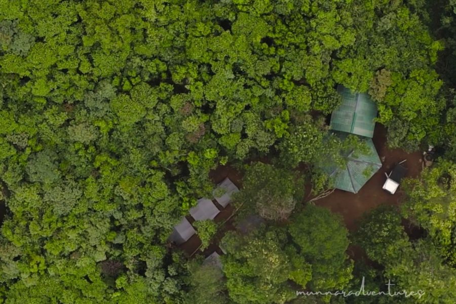 Camp Tea Forest – Kerala