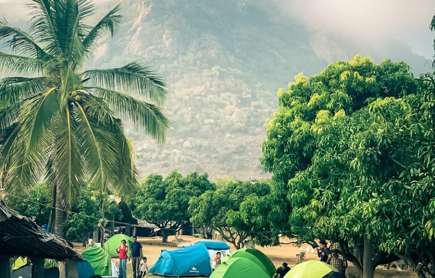 Campmonk.com