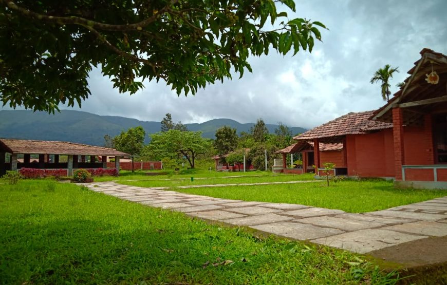 Campmonk.com