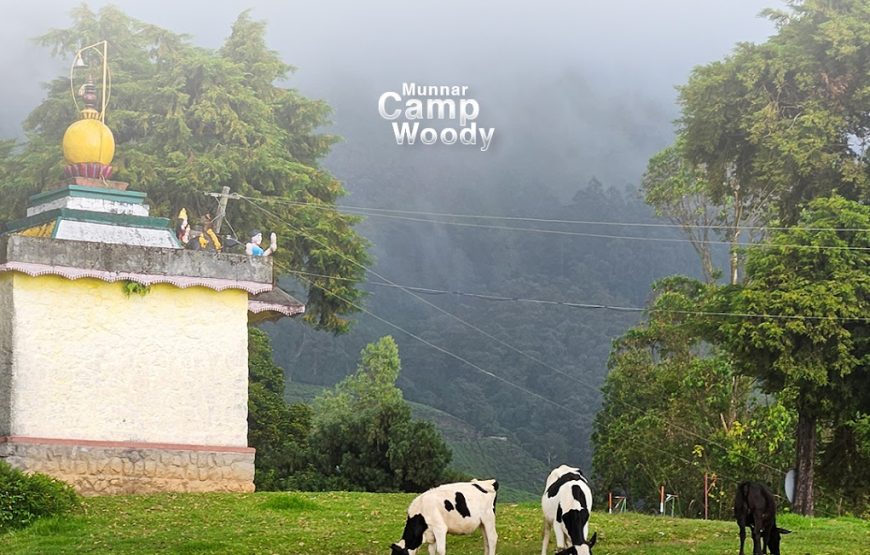 Campper Camp Woody – Kerala