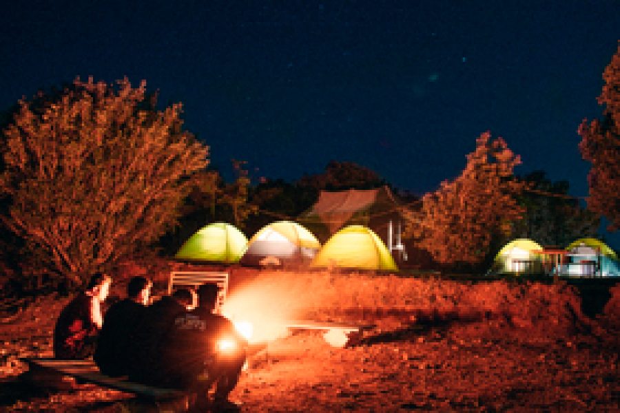 Campper Urumbi Hill Camp – Kerala