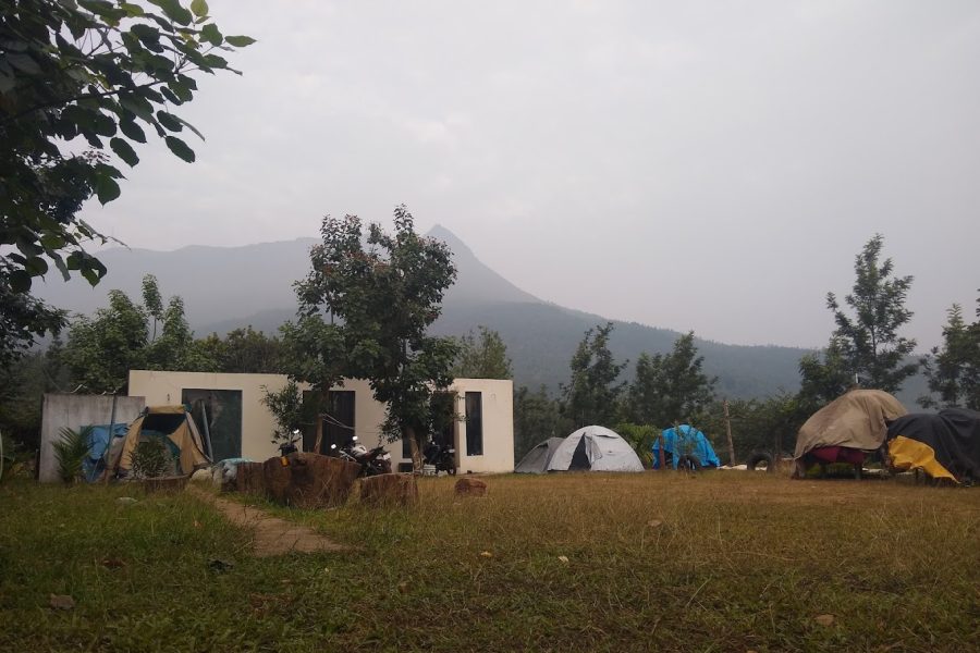 Hilltree Homestay Camp – Karnataka