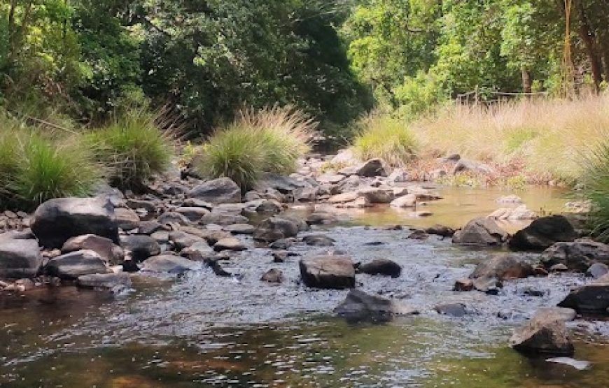 Ela Glamping – Madikeri, Karnataka