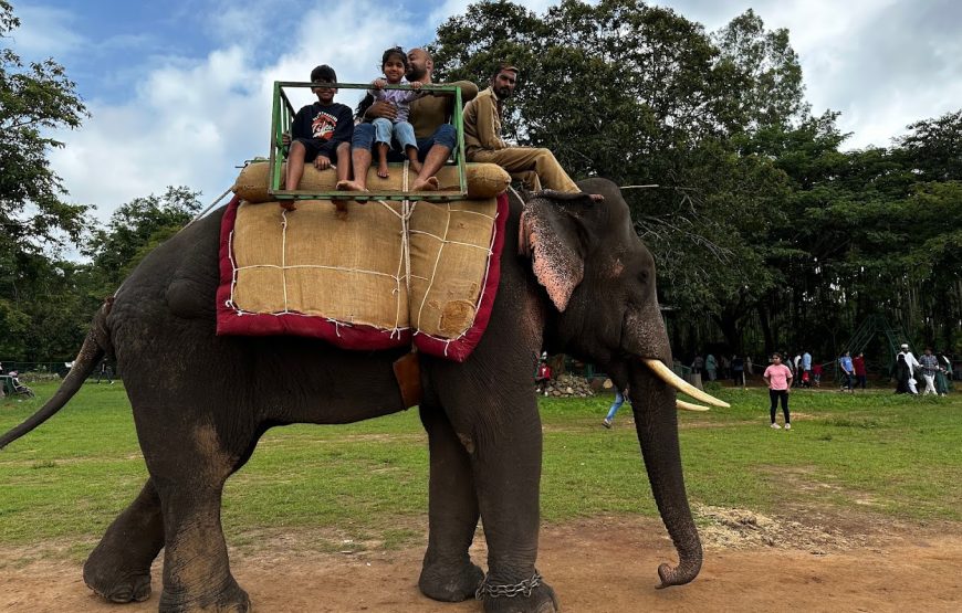 Jungle Lodges And Resorts – Karnataka