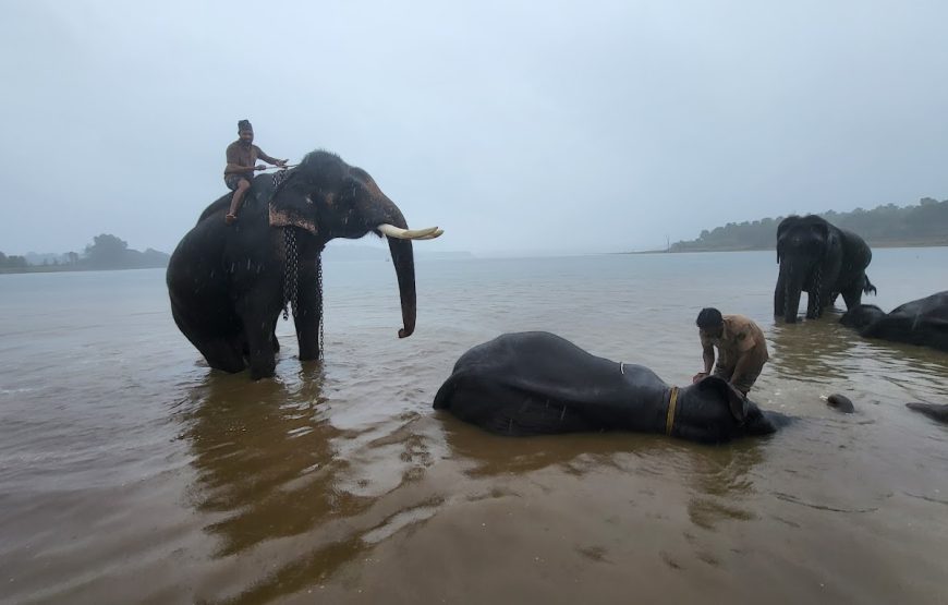 Jungle Lodges And Resorts – Karnataka