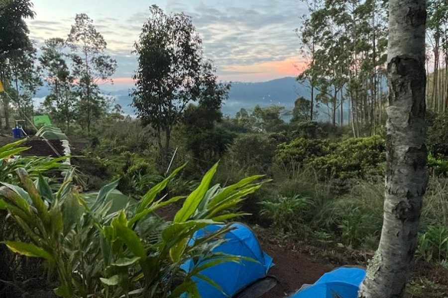 Elephant Trail Camp – Kerala