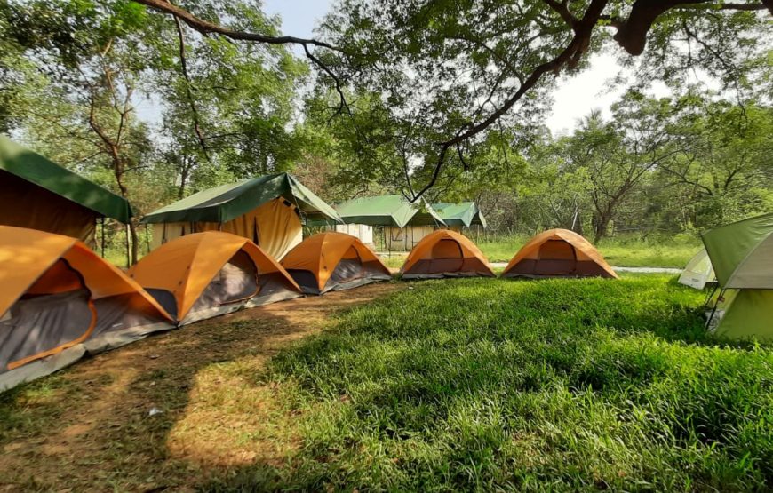 Exoticamp’s Nature Camp – Andhra Pradesh