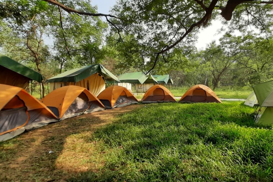 Exoticamp’s Nature Camp – Andhra Pradesh