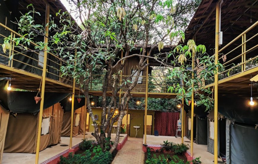 Halfway Home Gokarna – Karnataka