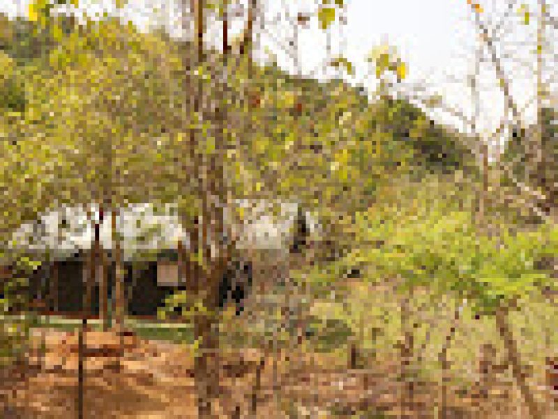 Coorg Nature camping – Madikeri, Karnataka