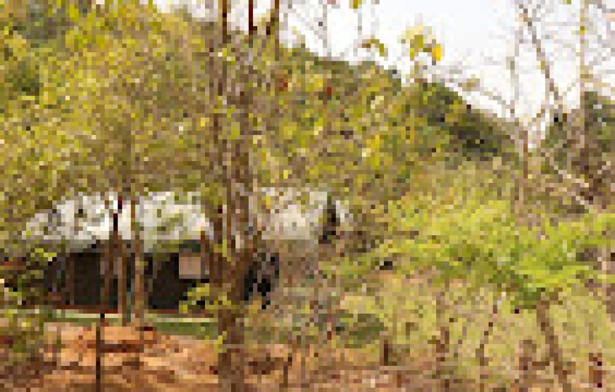 Coorg Nature camping – Madikeri, Karnataka