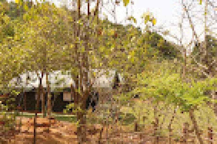 Coorg Nature camping – Madikeri, Karnataka