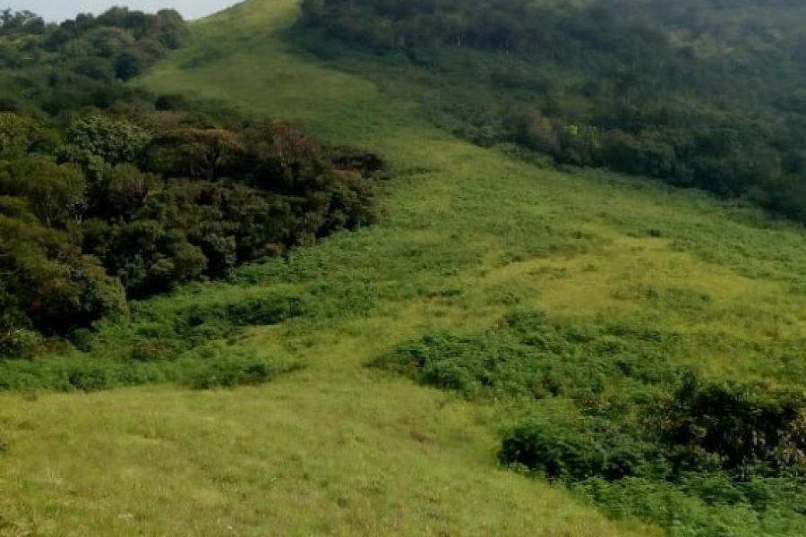 JK TREKKING AND CAMPING GROUNDS – Karnataka