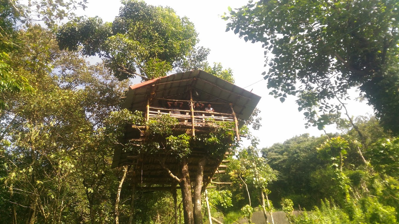 Jungle Valley Camping