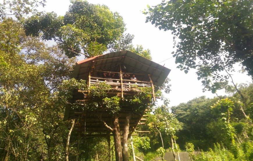 Jungle Valley Camping – Kerala