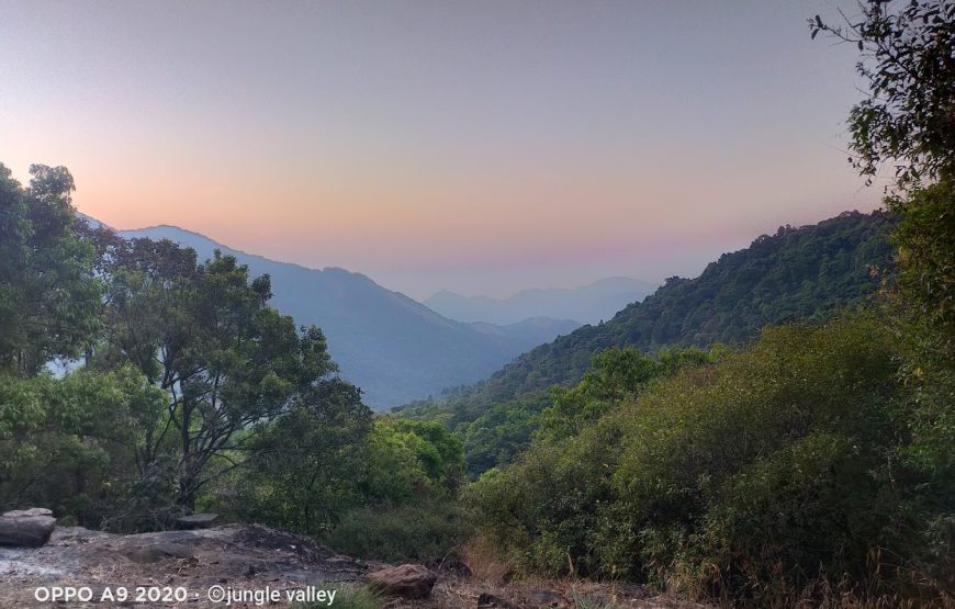 Jungle Valley Camping – Kerala