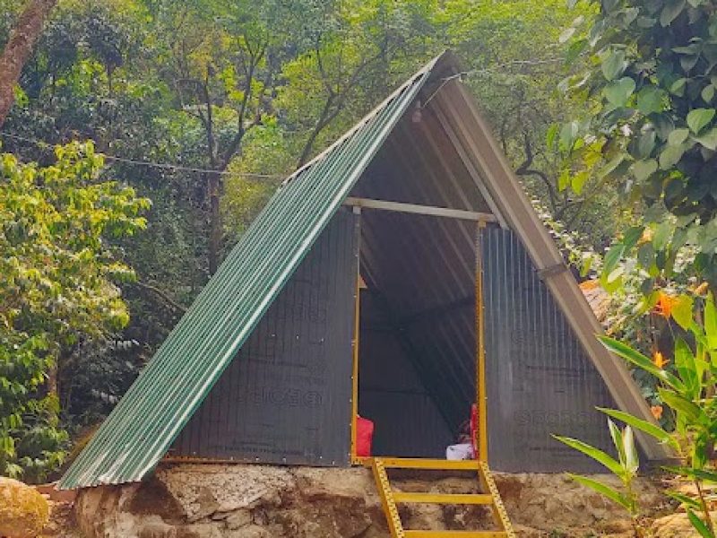 Jungle Valley Camping – Kerala